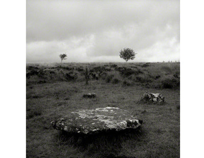 Two Trees and Stone Circle, Dartmoor